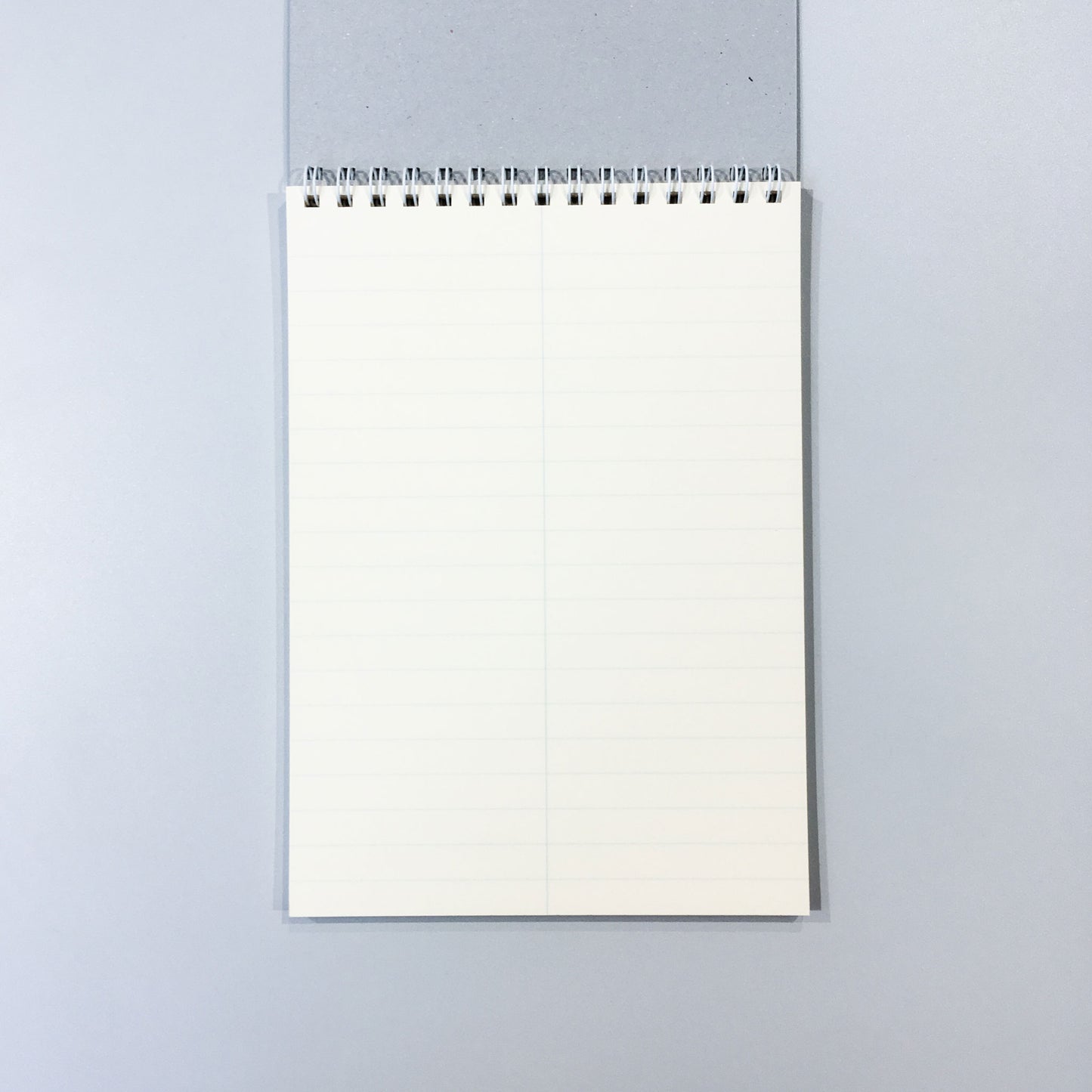 Stenographers' Notebook/ Gregg (LIFE)