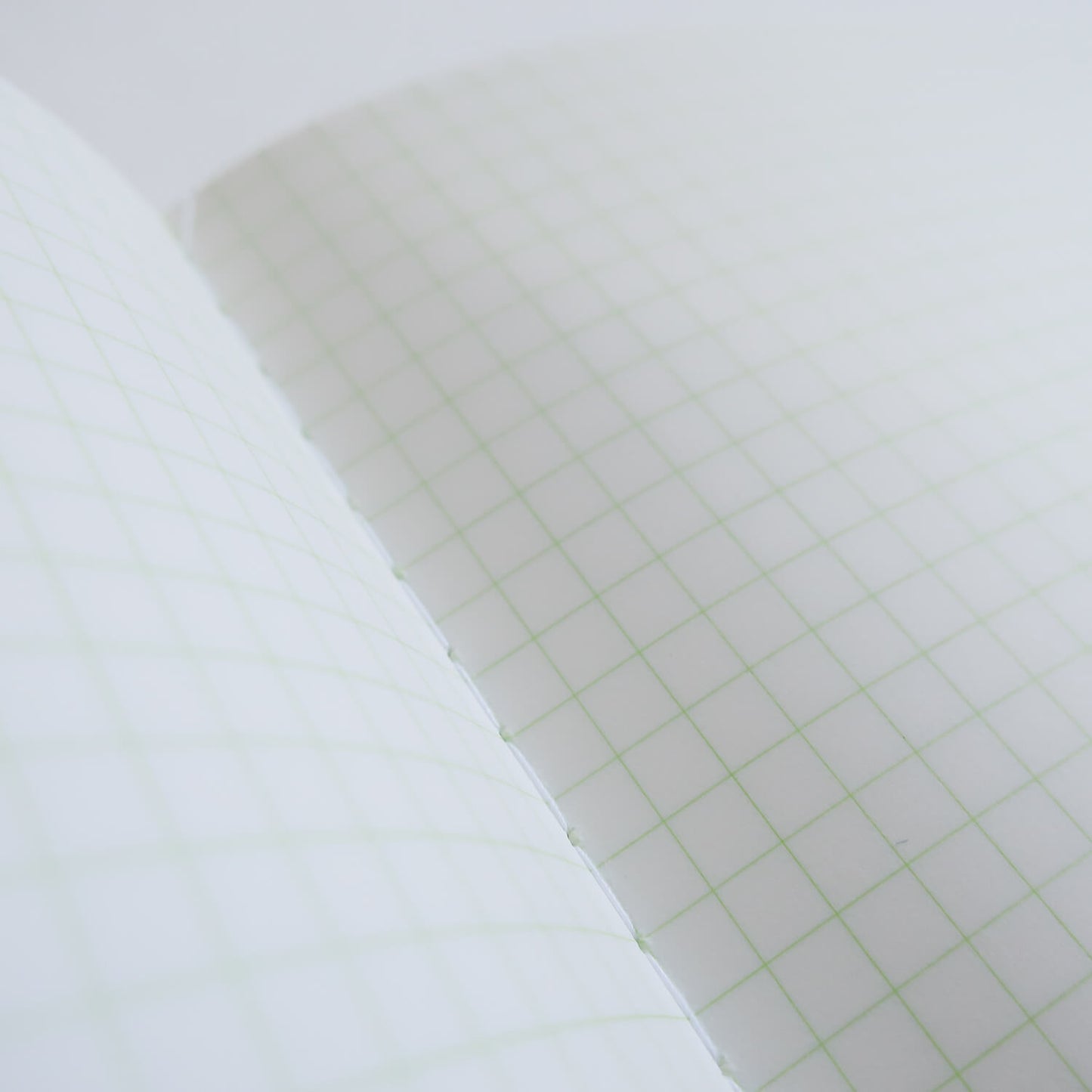 PISTACHIO Notebook N77/ B6 (LIFE)