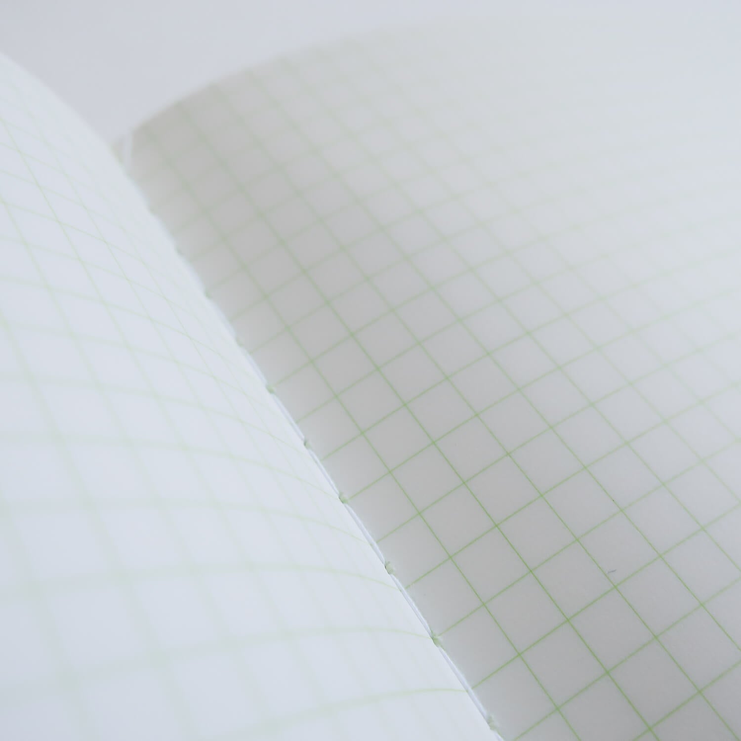 PISTACHIO Notebook N77/ B6 (LIFE)