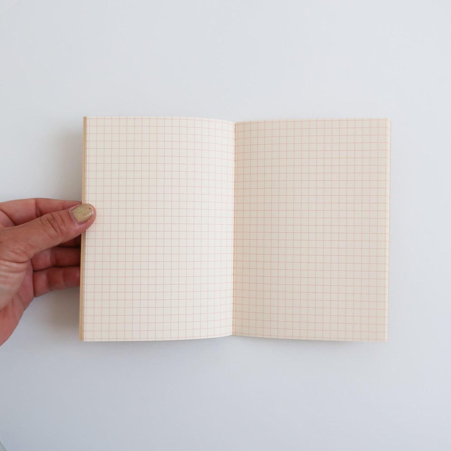 VERMILION Notebook N68/ A6 (LIFE)