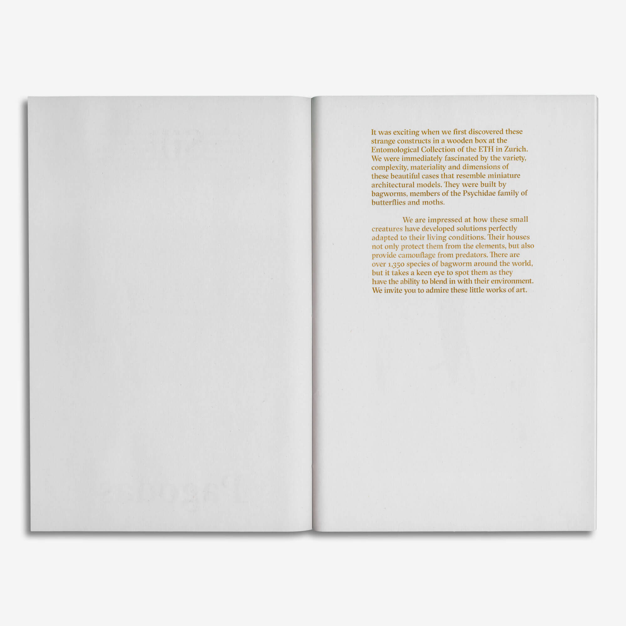 Art Book / Silk Pagodas  (BIENVENUE STUDIOS)