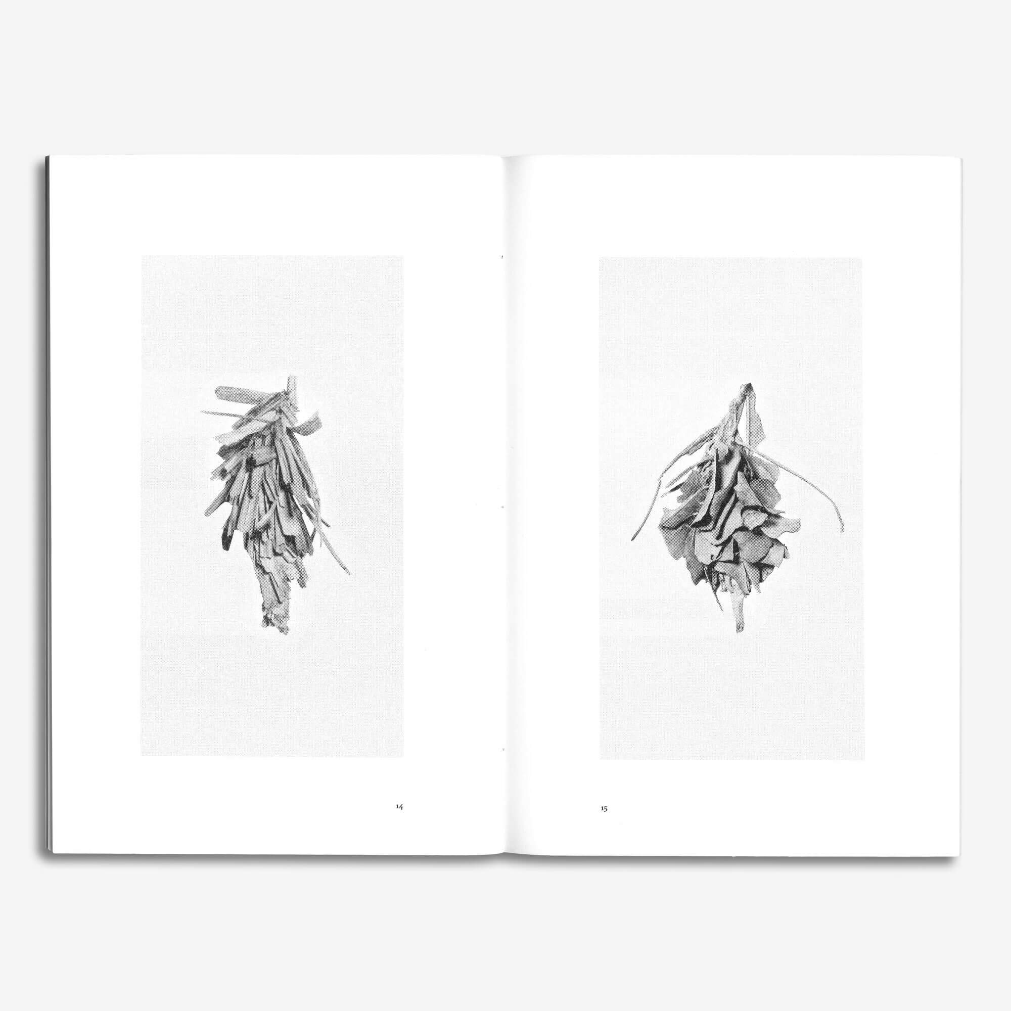 Art Book / Silk Pagodas  (BIENVENUE STUDIOS)