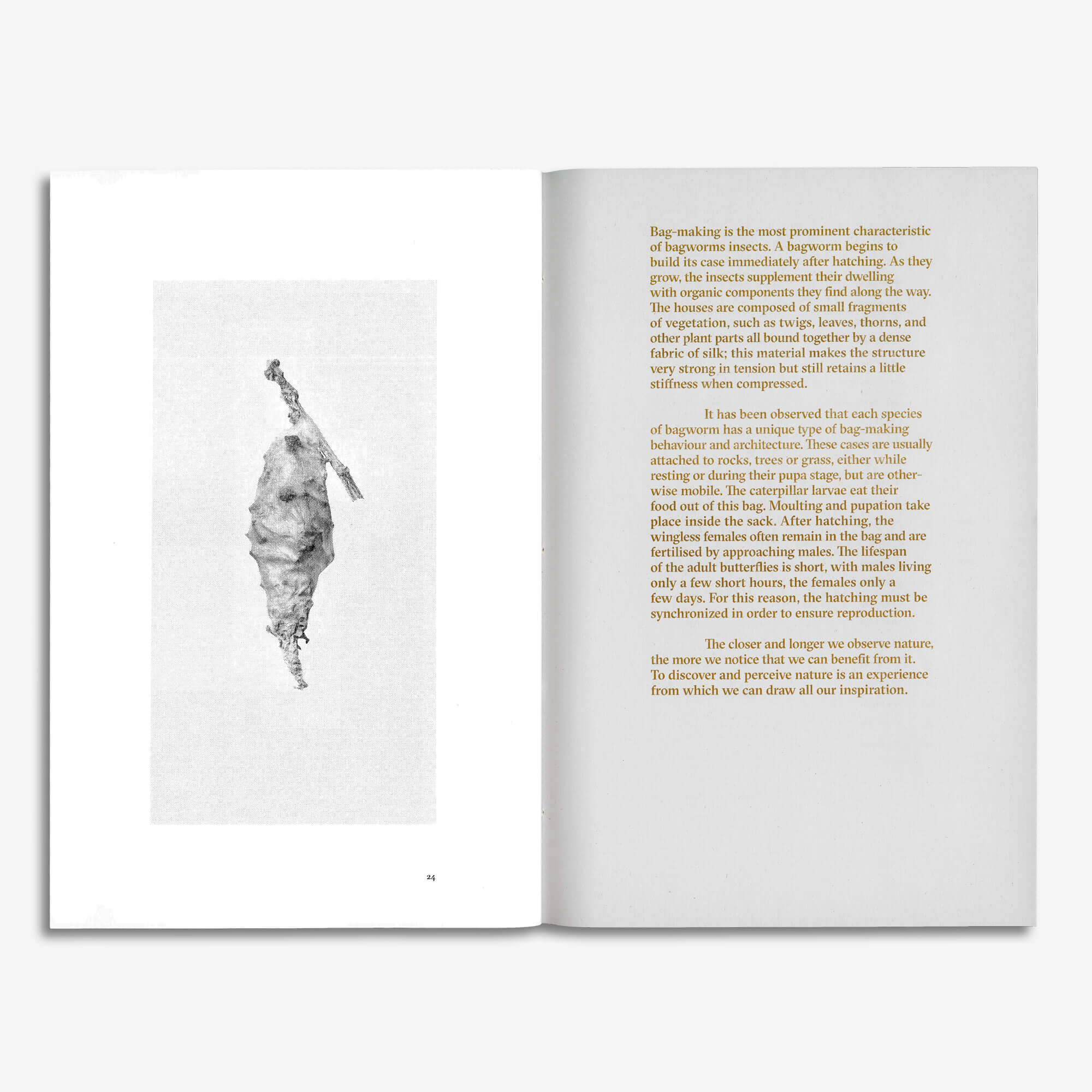 Art Book / Silk Pagodas  (BIENVENUE STUDIOS)