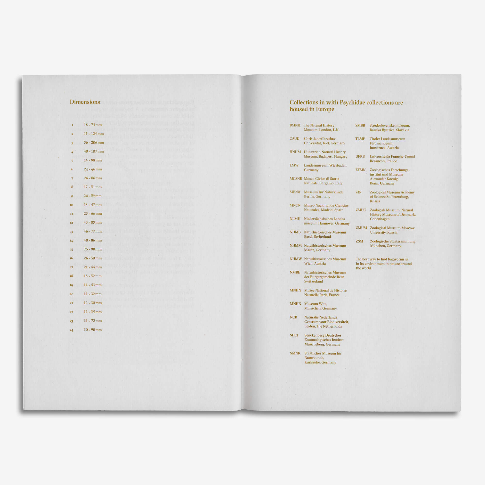 Art Book / Silk Pagodas  (BIENVENUE STUDIOS)