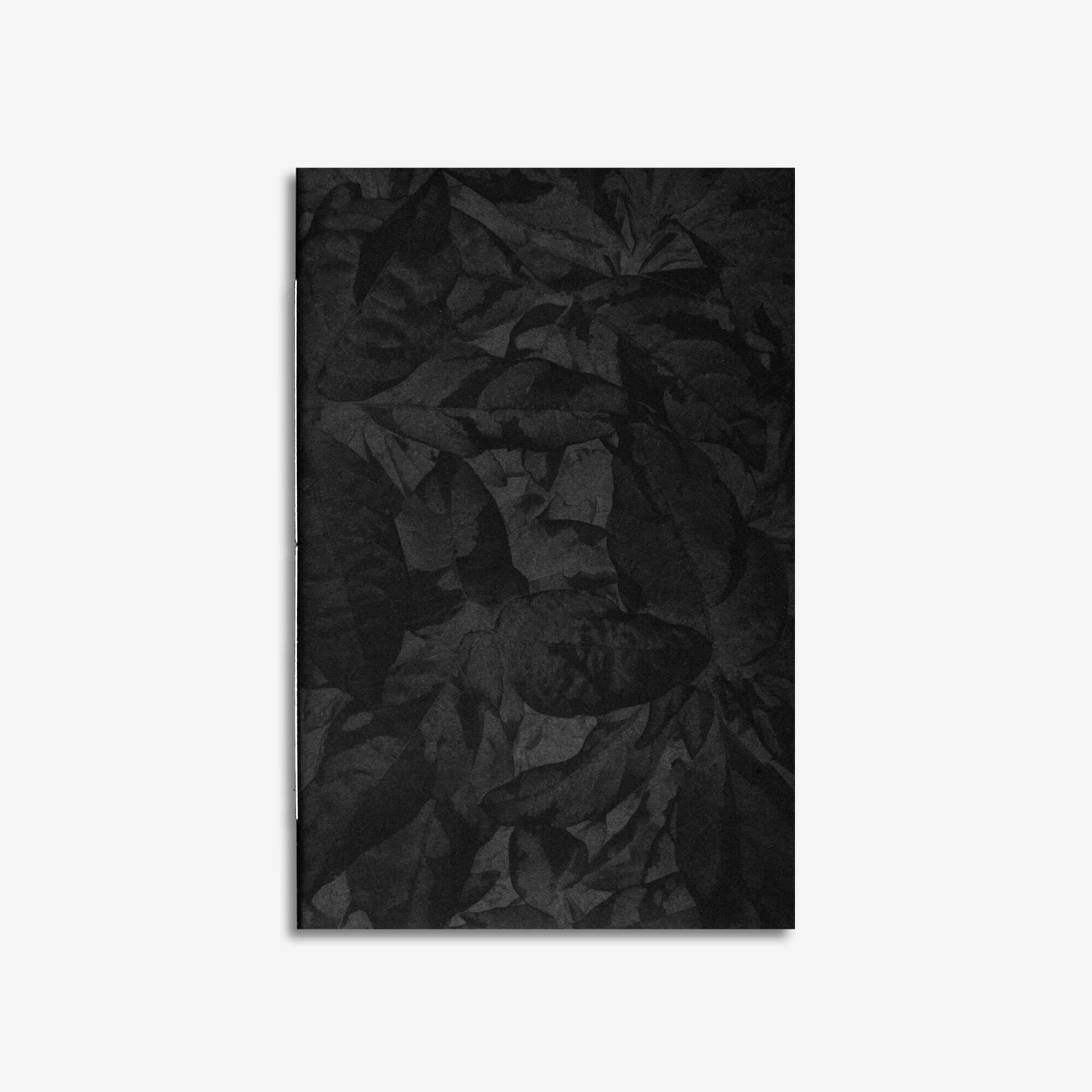 Art Book / Silk Pagodas  (BIENVENUE STUDIOS)