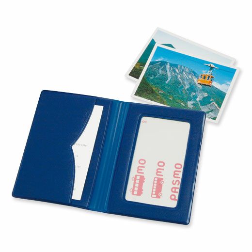 Double Pass Case