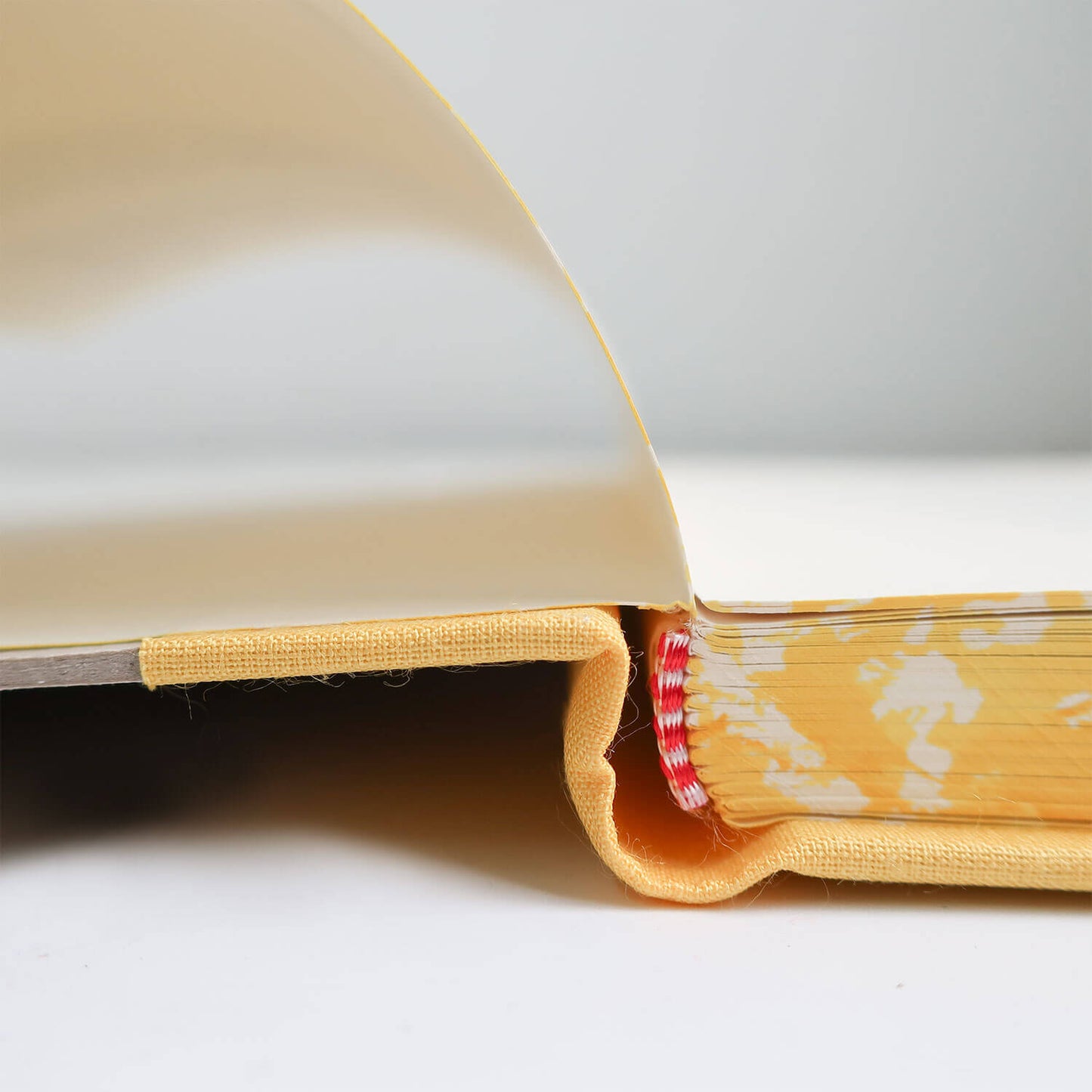 Cardboard Notebook with Band/ A4 (EMILIO BRAGA)