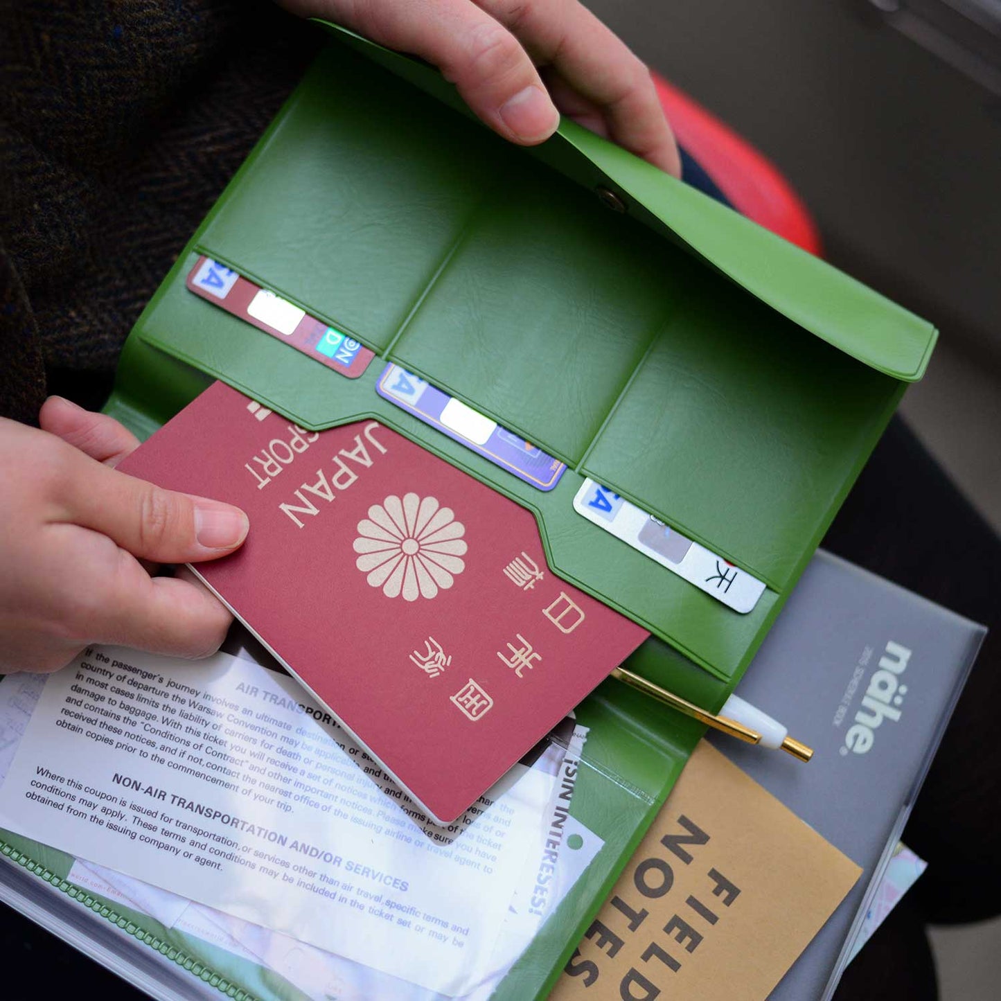 Travel Organizer (NÄHE)