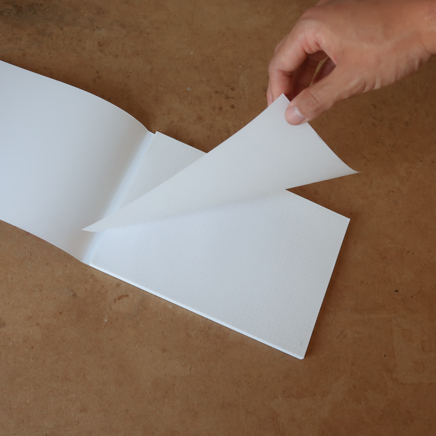 Clipper Section Notepad/ A4 (LIFE)