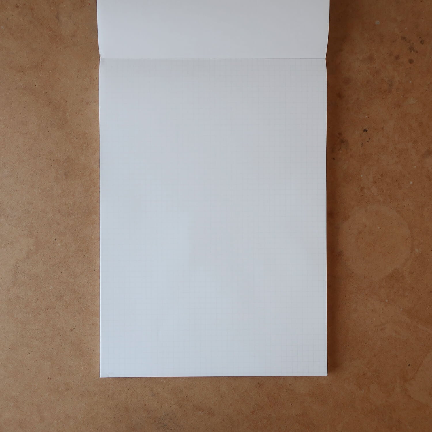 Clipper Section Notepad/ A4 (LIFE)